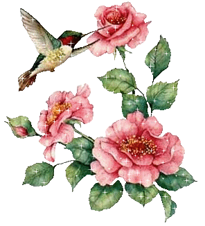 Анимашка колибри у цветка розы