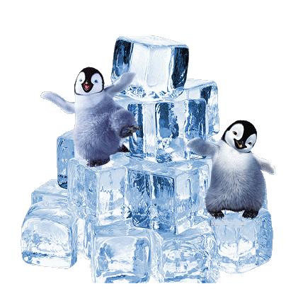 Пингвины бордо танцуют на кубиках льда