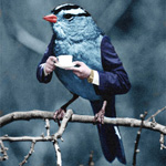  Птица сидит на веточке и держит <b>белую</b> чашку в руках  гифка анимация