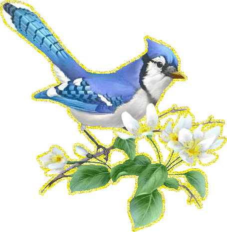 Синяя птица с белыми цветами - картинка приносящая удачу