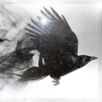  Летящая черная ворона оставляющая за собой магический <b>след</b>  гифка анимация