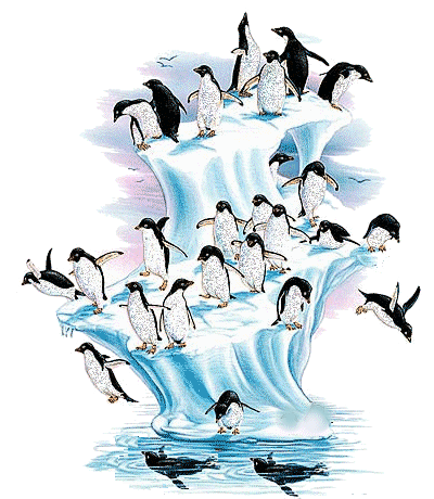 Много пингвинов на айсберге играют в нырки
