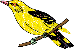 Анимашка желтая птица