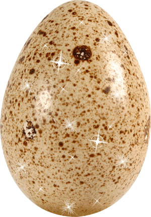 Анимированная фотография яйца блестит на солнышке