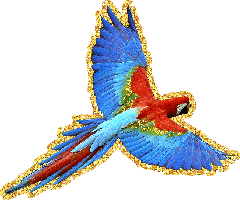 Блестящий летящий попугай