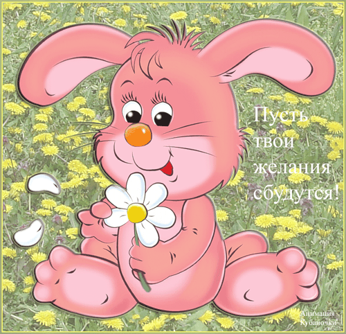 Пусть твои желания <b>сбудутся</b>! Розовый заяц с ромашкой  гифка анимация