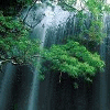 Водопад за деревьями