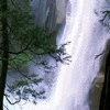 Водопад среди деревьев