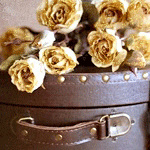 Розы на красивом чемодане