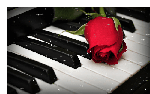  Роза на <b>клавишах</b> рояля  гифка анимация