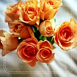 Букет роз оранжевых