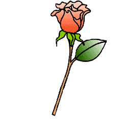 Яркий розанчик