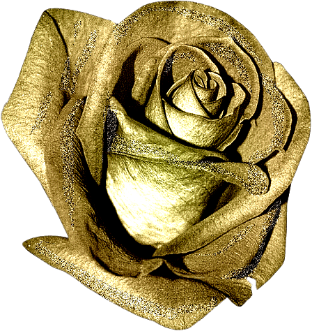 Золотой бутон розы - цветок благородства и тайны
