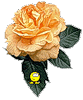 Шикарная роза со смайликом