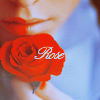 Rosе. роза