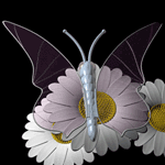  Бабочка <b>на</b> белых ромашках <b>на</b> черном фоне  гифка анимация
