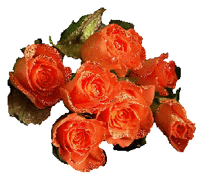 Семь оранжевых роз