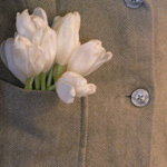 Букет тюльпанов выглядывает из кармана