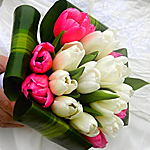 Букет из розовых и белых тюльпанов в руке человека
