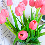  <b>Розовые</b> тюльпаны на фоне белой стены с узорами  гифка анимация