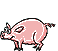 Маленькая рисованая свинка