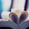 Страницы книги сложены в сердечко. а поверх лежит цветок