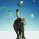  Девочка на спине <b>слона</b> рассматривает шар  гифка анимация