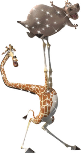 Танец жирафа и бегемота не только уморительный, но и очен...