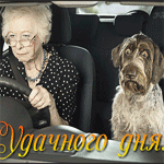  <b>Бабушка</b> за рулем с испуганной собакой (удачного дня!)  гифка анимация