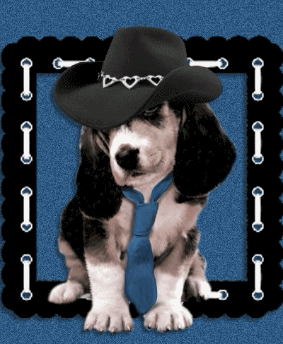 Собака в шляпе и галстуке