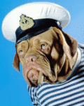 Морячок пёс