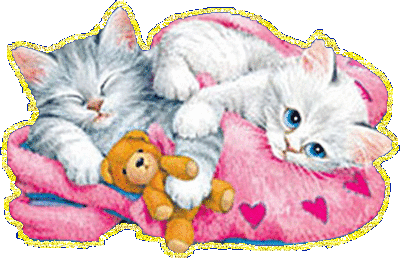 Маленькие котята сладко засыпают на розовой подушке