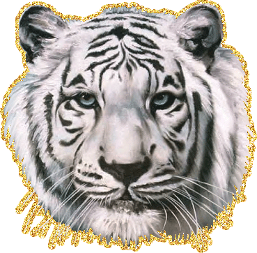 Нарисованный тигр на прозрачном фоне для украшения любимо...