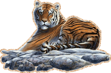 Тигр красиво лежит на камнях и позирует художнику