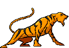 Угрожающий тигр