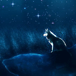 Волк сидит на краю скалы на фоне звездного неба