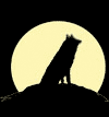 Волк воет на луну-3