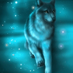 Волк в мерцаннии звезд