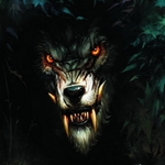 Злая морда волка