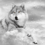 Белый волк лежит на облаке