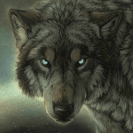 Волк с голубыми глазами, художница balaa