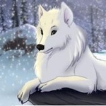 Белая волчица лежит на снегу в лесу