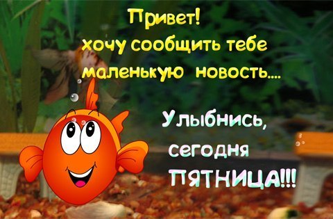 Улыбнись! Сегодня пятница!