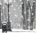  <b>Аллея</b> с фонарями зимой в парке  гифка анимация