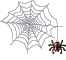 Паук на паутине