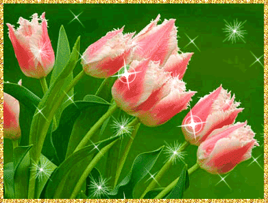 Анимированная картинка с тюльпанами