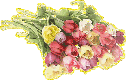  Большой букет разноцветных тюльпанов на 8 <b>марта</b>  гифка анимация