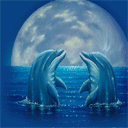 Два дельфина на фоне луны