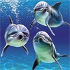  <b>Три</b> дельфина под водой  гифка анимация
