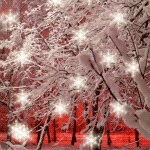  <b>Снег</b> падает и деревья в шубах стоят  гифка анимация